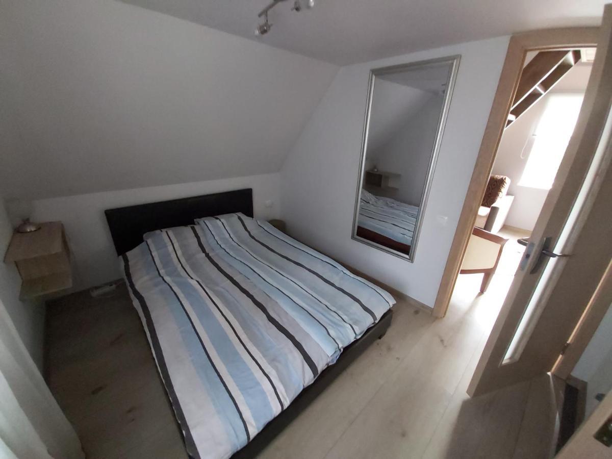 Guest House Podnieki Βέντσπιλς Εξωτερικό φωτογραφία